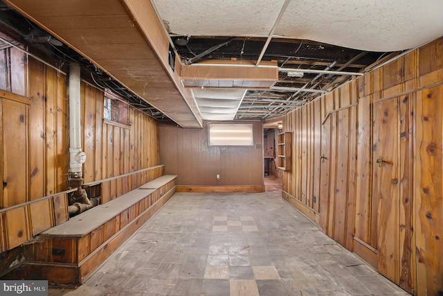 basement with wood walls