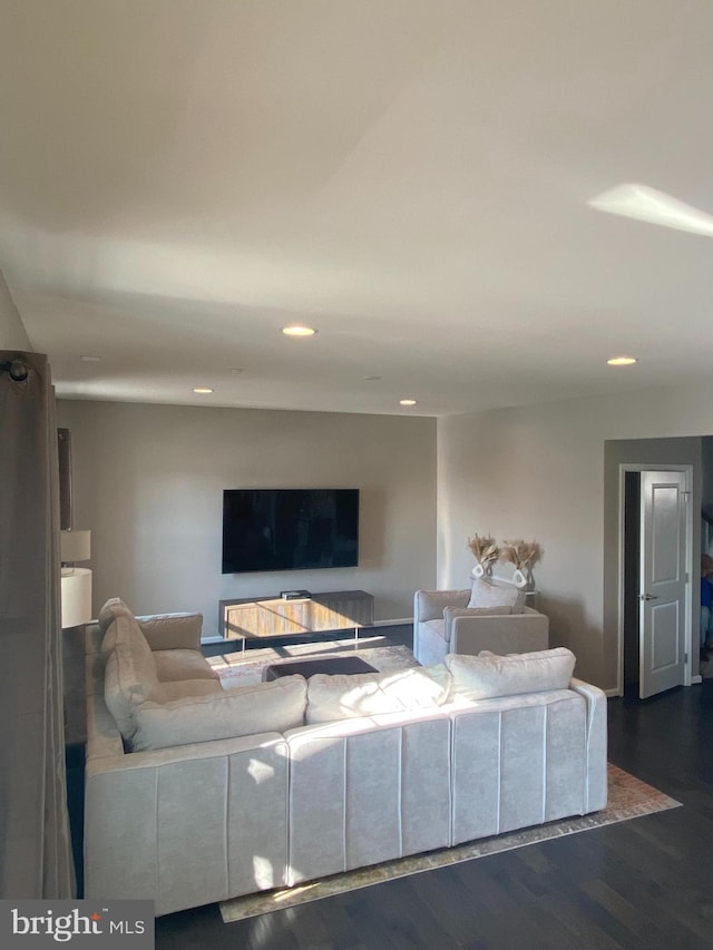 living room with dark wood-type flooring