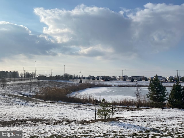 view of yard covered in snow