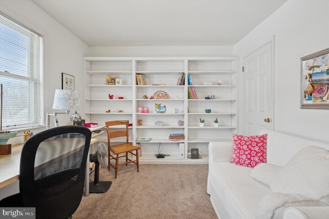 home office with light carpet and a healthy amount of sunlight