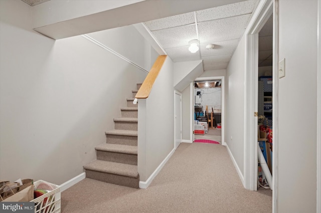 hallway featuring carpet floors and a drop ceiling