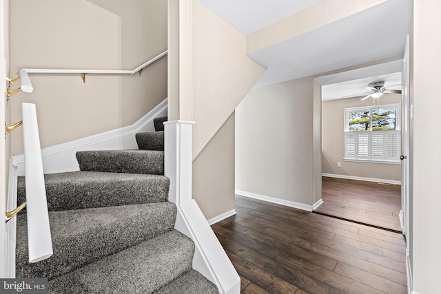 stairway featuring hardwood / wood-style floors and ceiling fan