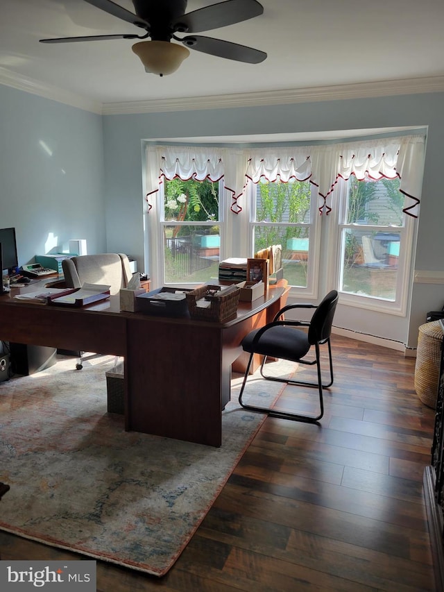 office space featuring crown molding, ceiling fan, and wood-type flooring