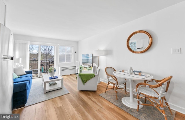 living room featuring light hardwood / wood-style floors