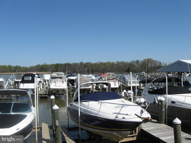 view of dock with a water view