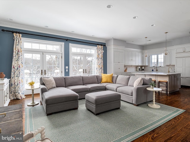 living room with dark hardwood / wood-style floors, crown molding, sink, and french doors