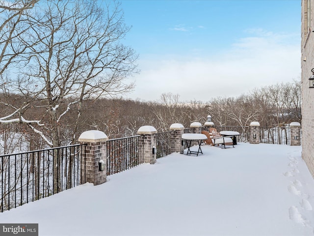 view of snowy yard