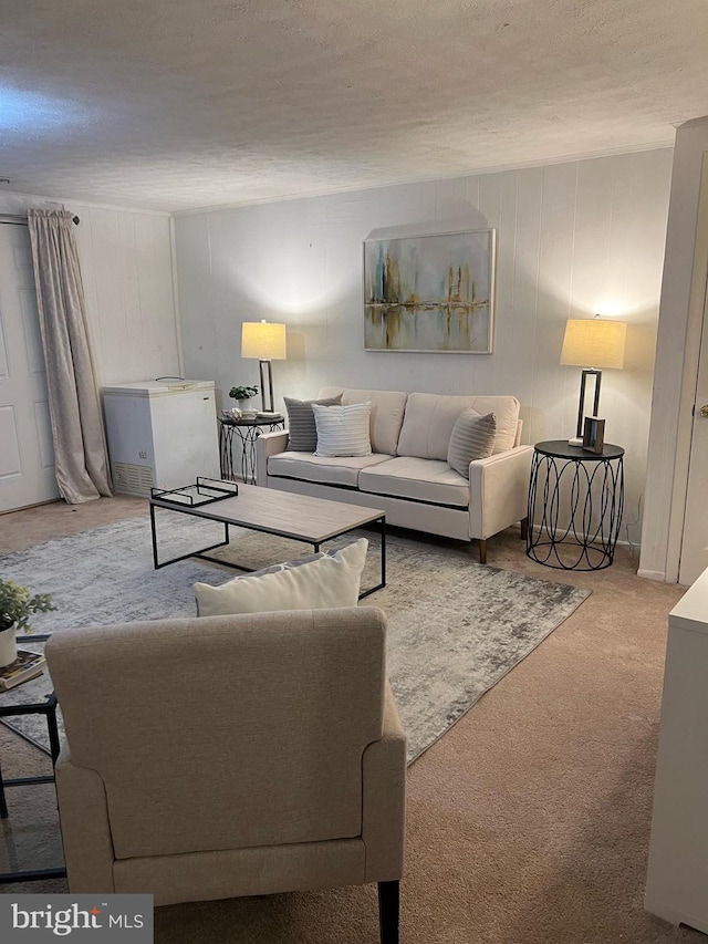 living room featuring a textured ceiling and carpet flooring