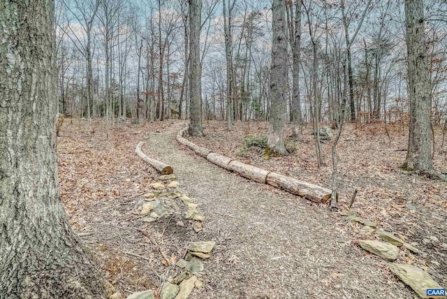 view of local wilderness