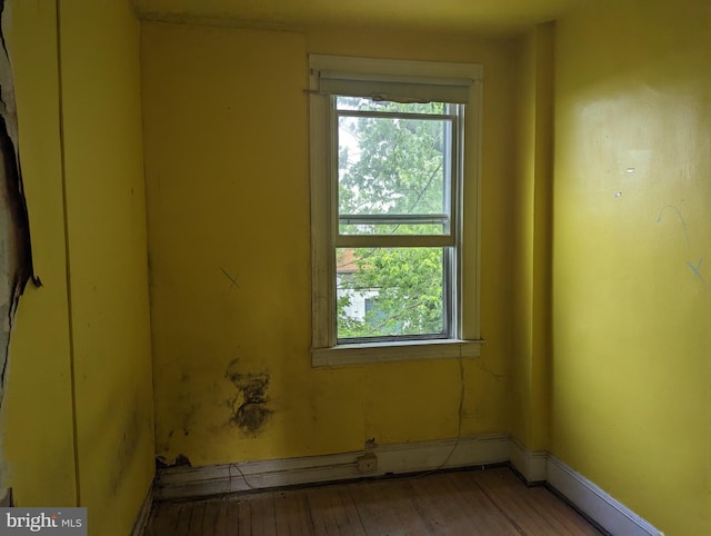 empty room with wood-type flooring