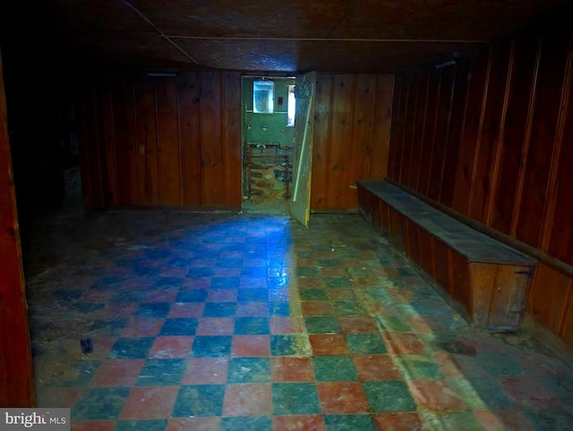 basement featuring wood walls