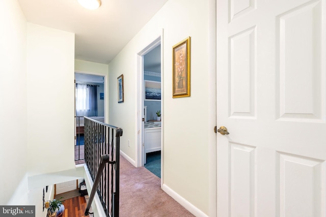 hallway with carpet flooring