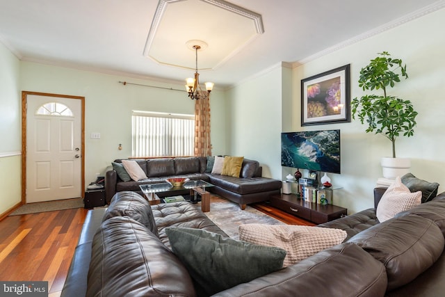 living room with a chandelier, hardwood / wood-style floors, and crown molding