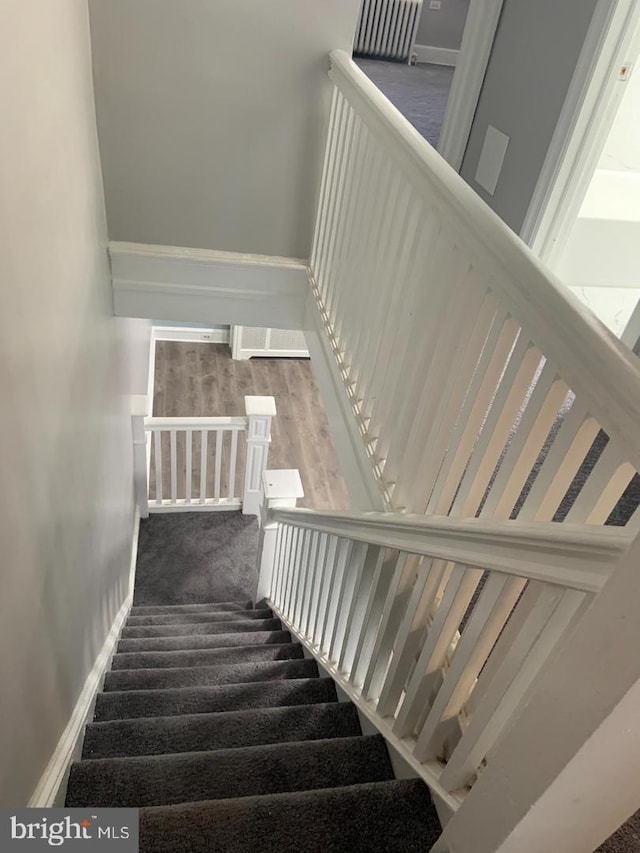 stairs featuring carpet floors