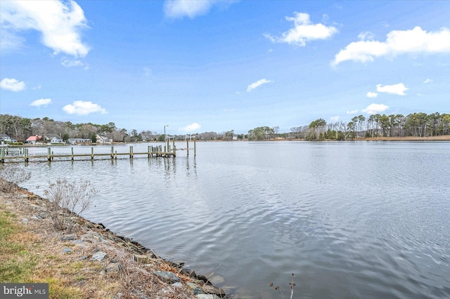 dock area featuring a water view