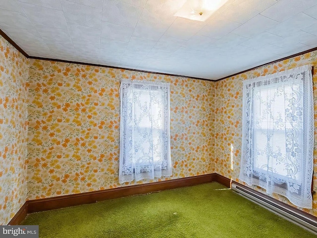 spare room with ornamental molding and carpet floors