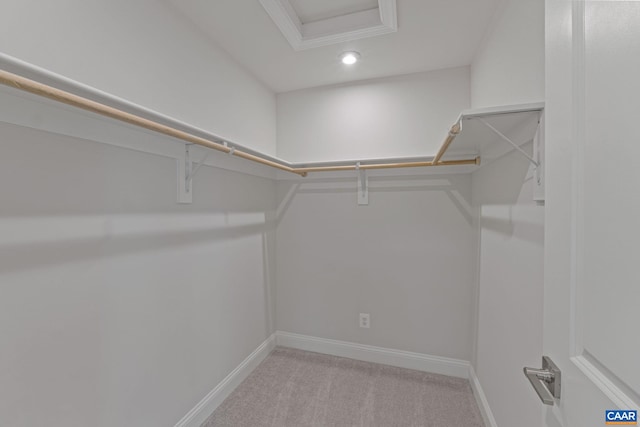 walk in closet featuring light carpet