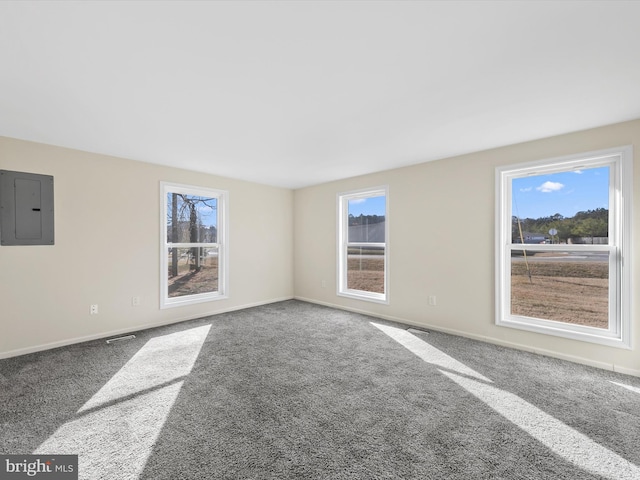 carpeted spare room with electric panel