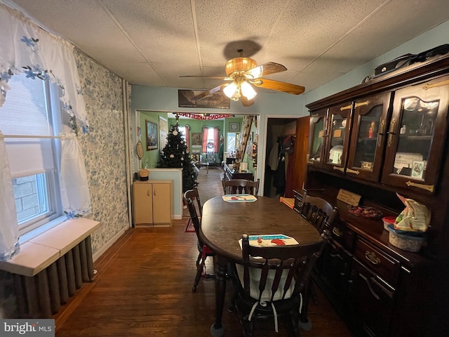 dining room featuring ceiling fan and dark hardwood / wood-style floors