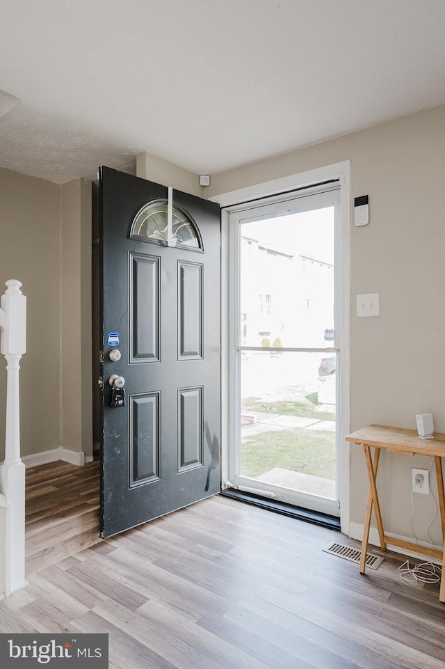 entryway featuring light hardwood / wood-style flooring and plenty of natural light