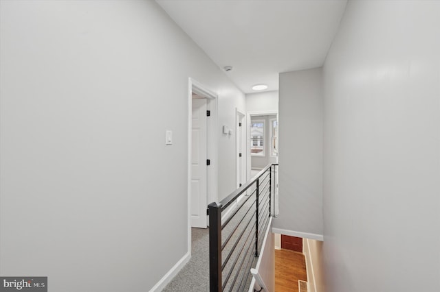 stairs featuring carpet flooring