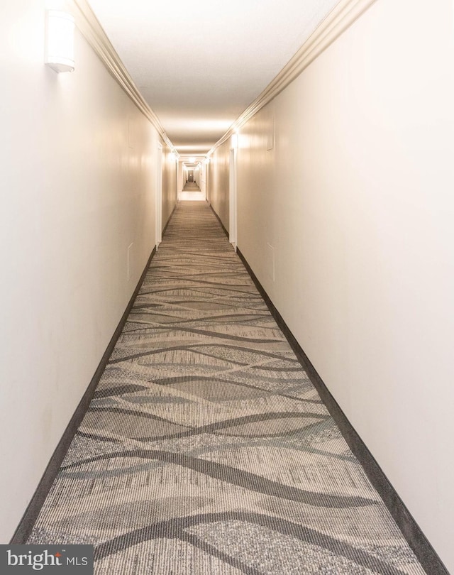 hallway with crown molding and dark colored carpet