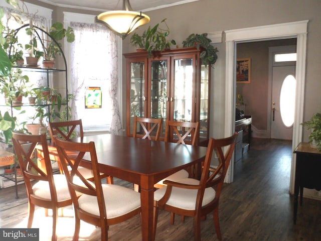 dining area with ornamental molding and dark hardwood / wood-style floors