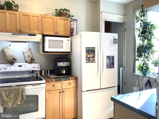 kitchen with a healthy amount of sunlight and white appliances