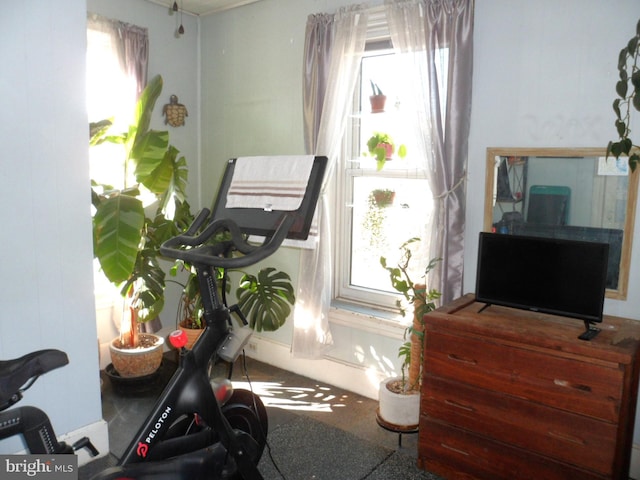 workout room featuring a wealth of natural light