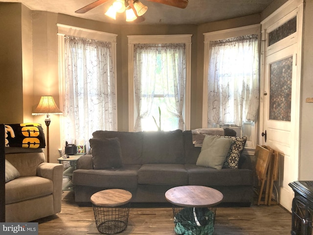 living room with hardwood / wood-style floors and ceiling fan