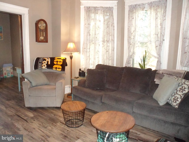 living room featuring wood-type flooring