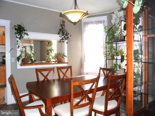 dining area featuring hardwood / wood-style flooring and crown molding