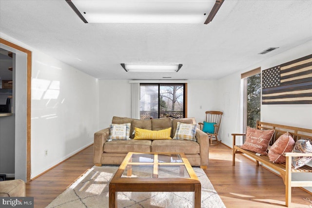 living room with a textured ceiling and hardwood / wood-style flooring