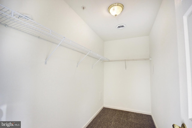 spacious closet featuring carpet