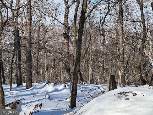 view of yard layered in snow