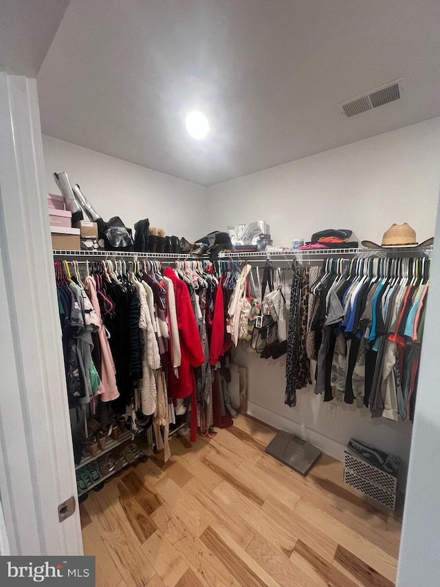 walk in closet with hardwood / wood-style floors