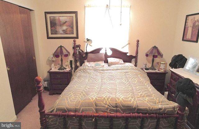 bedroom featuring carpet flooring