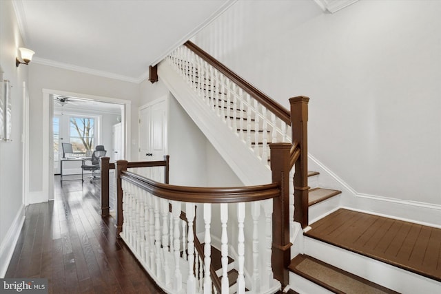 stairway with hardwood / wood-style flooring and crown molding