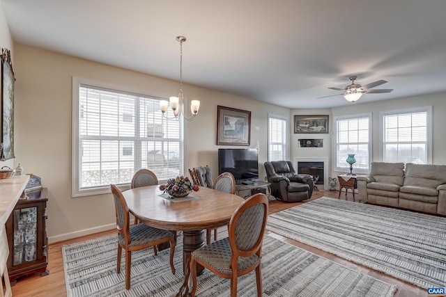 dining area with a healthy amount of sunlight, ceiling fan with notable chandelier, and light wood-type flooring