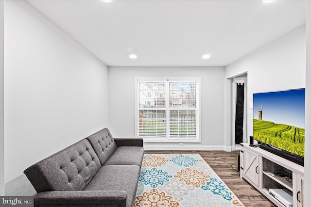 living room with wood-type flooring