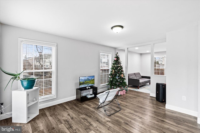 sitting room with dark hardwood / wood-style floors