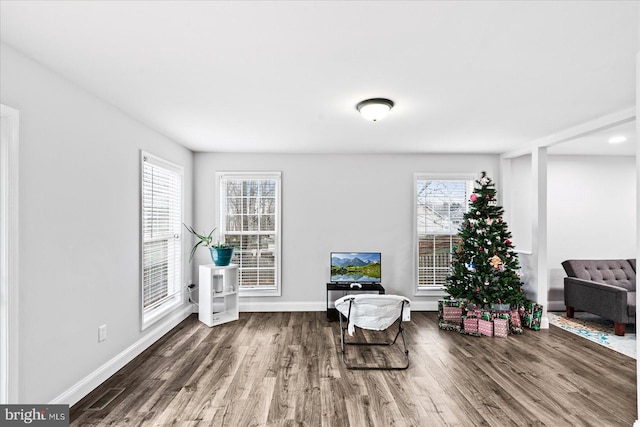 sitting room featuring hardwood / wood-style floors and plenty of natural light