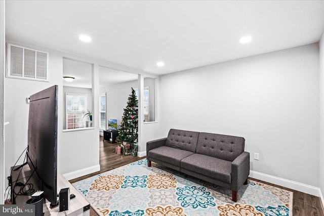 living room featuring wood-type flooring