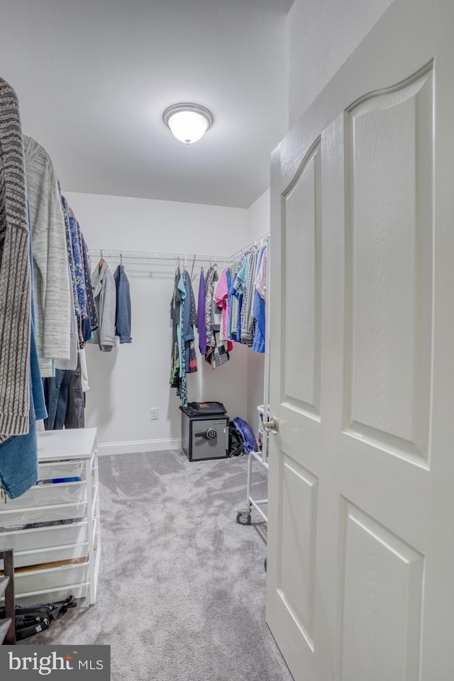 walk in closet featuring carpet floors