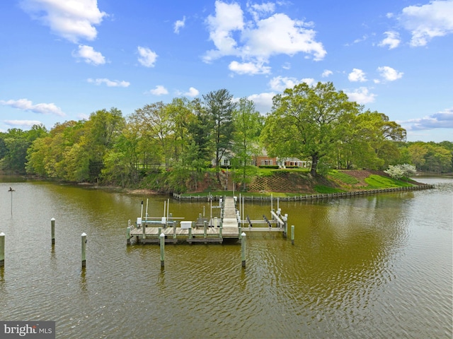 dock area with boat lift and a water view