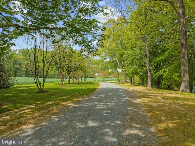 view of street