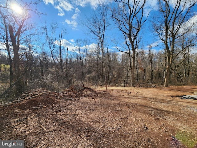 view of local wilderness