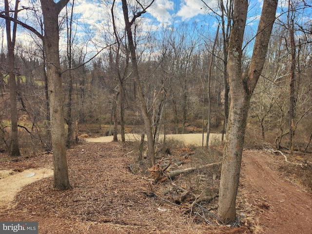 view of local wilderness