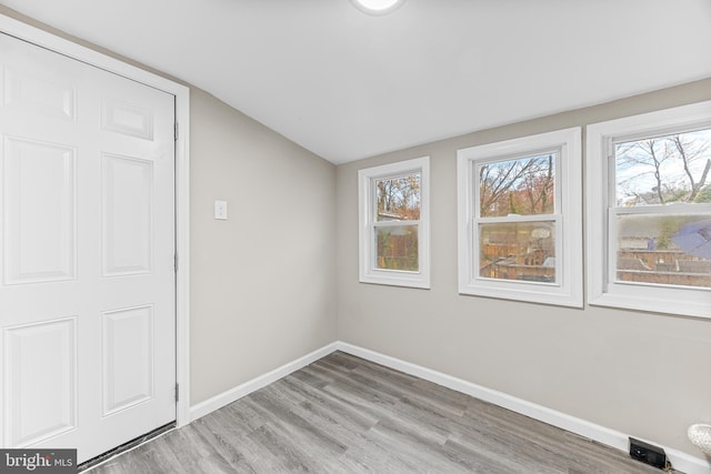 interior space with lofted ceiling and wood-type flooring