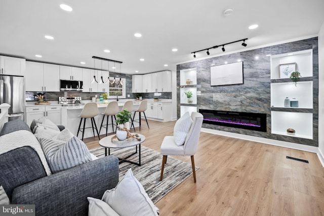 living room with a premium fireplace and light hardwood / wood-style flooring